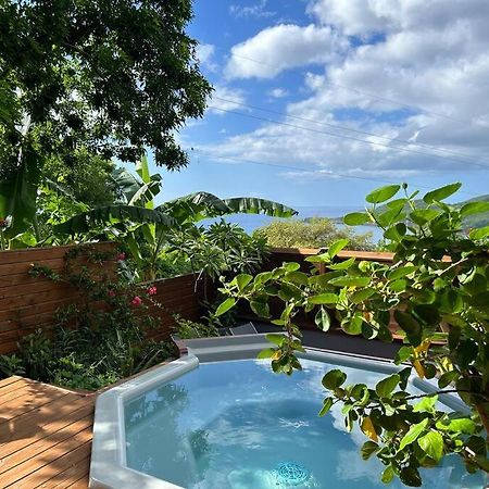 Bungalow, Gite Les Fleurs Du Colibri Bouillante Exterior foto
