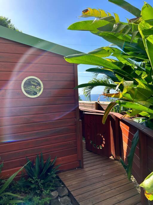 Bungalow, Gite Les Fleurs Du Colibri Bouillante Exterior foto